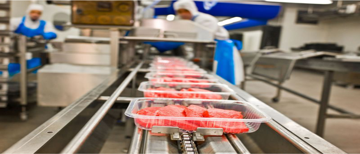 Link permanente para: Alimentos